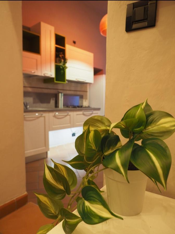Il Nido Dell'Aquila By Francigenaapartments Siena Eksteriør billede